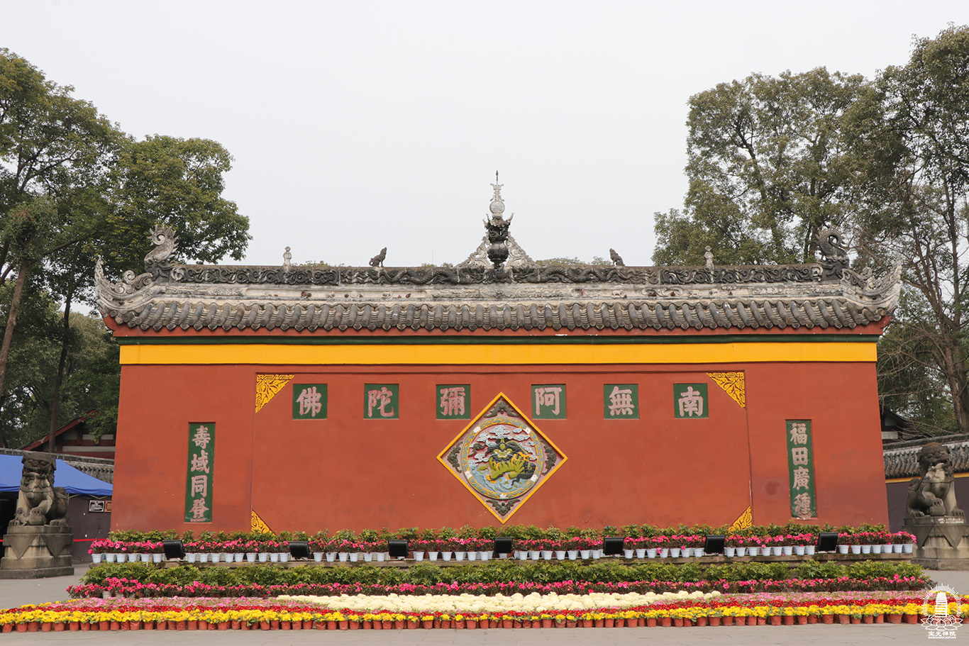 IMG_8185裁.jpg